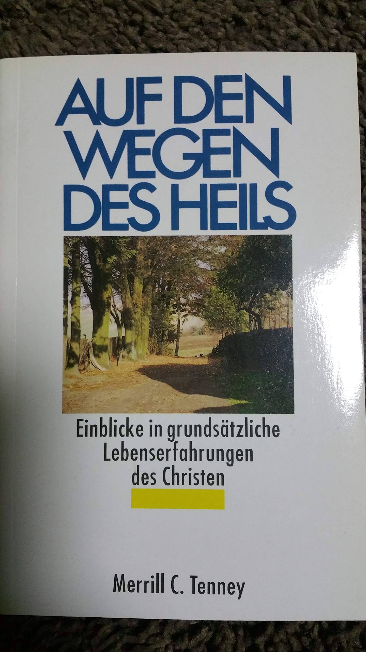 Auf den Wegen des Heils: Einblicke in grundsätzliche Lebenserfahrungen des Christen (TELOS - Paperbacks) Religion & Esotericism
