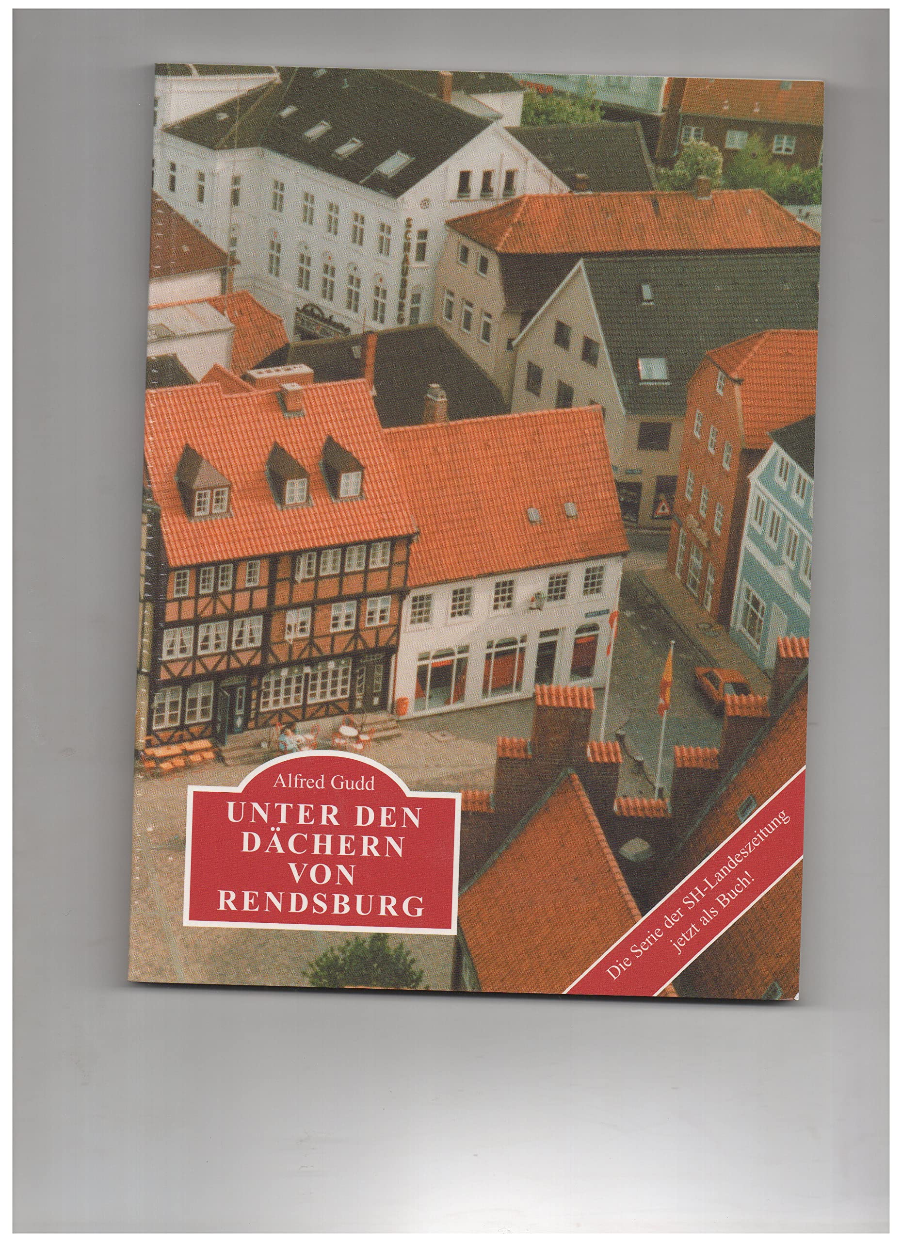 Unter den Dächern von Rendsburg: Häuser und ihre Geschichte(n) Politics & History