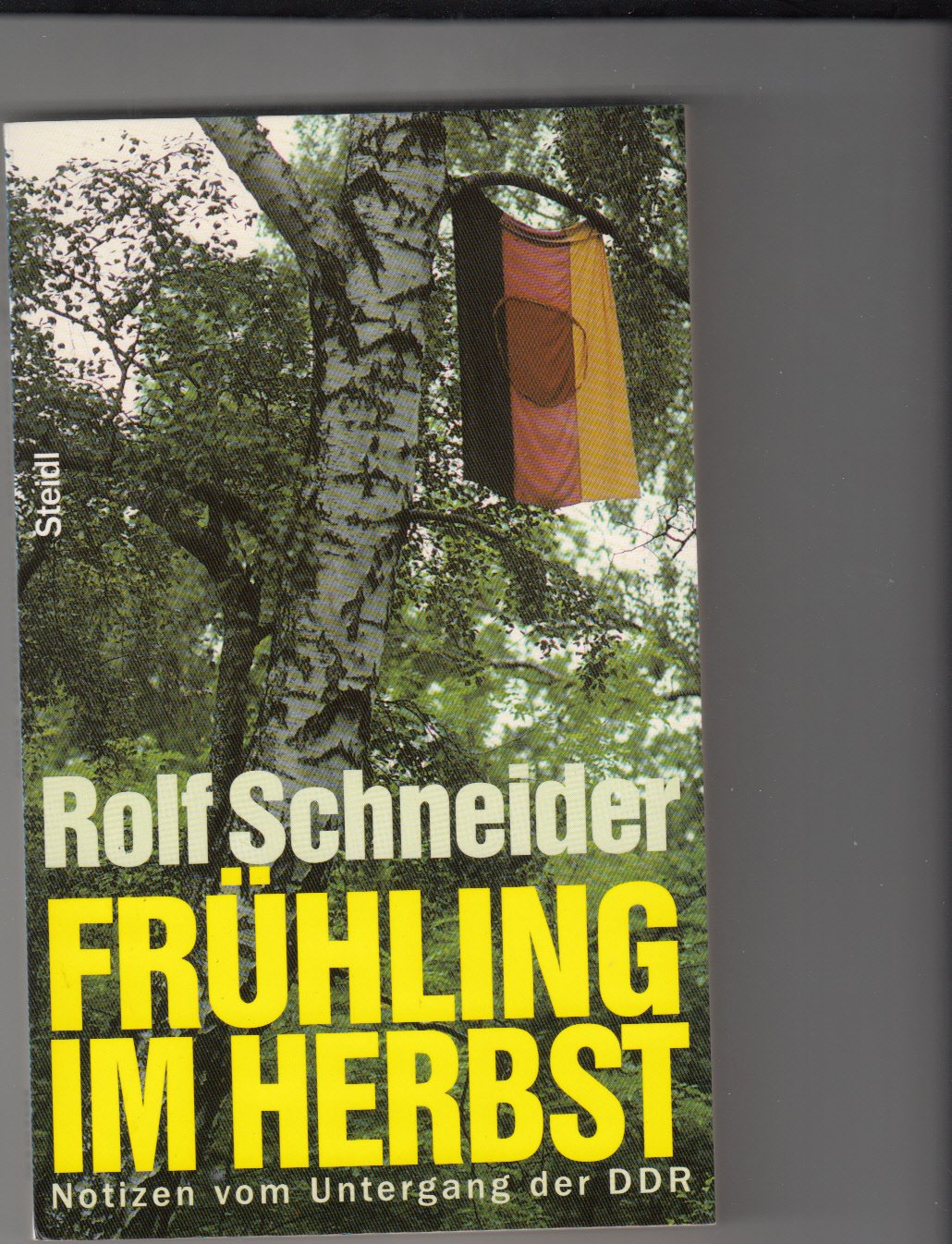Frühling im Herbst: Notizen vom Untergang der DDR German history