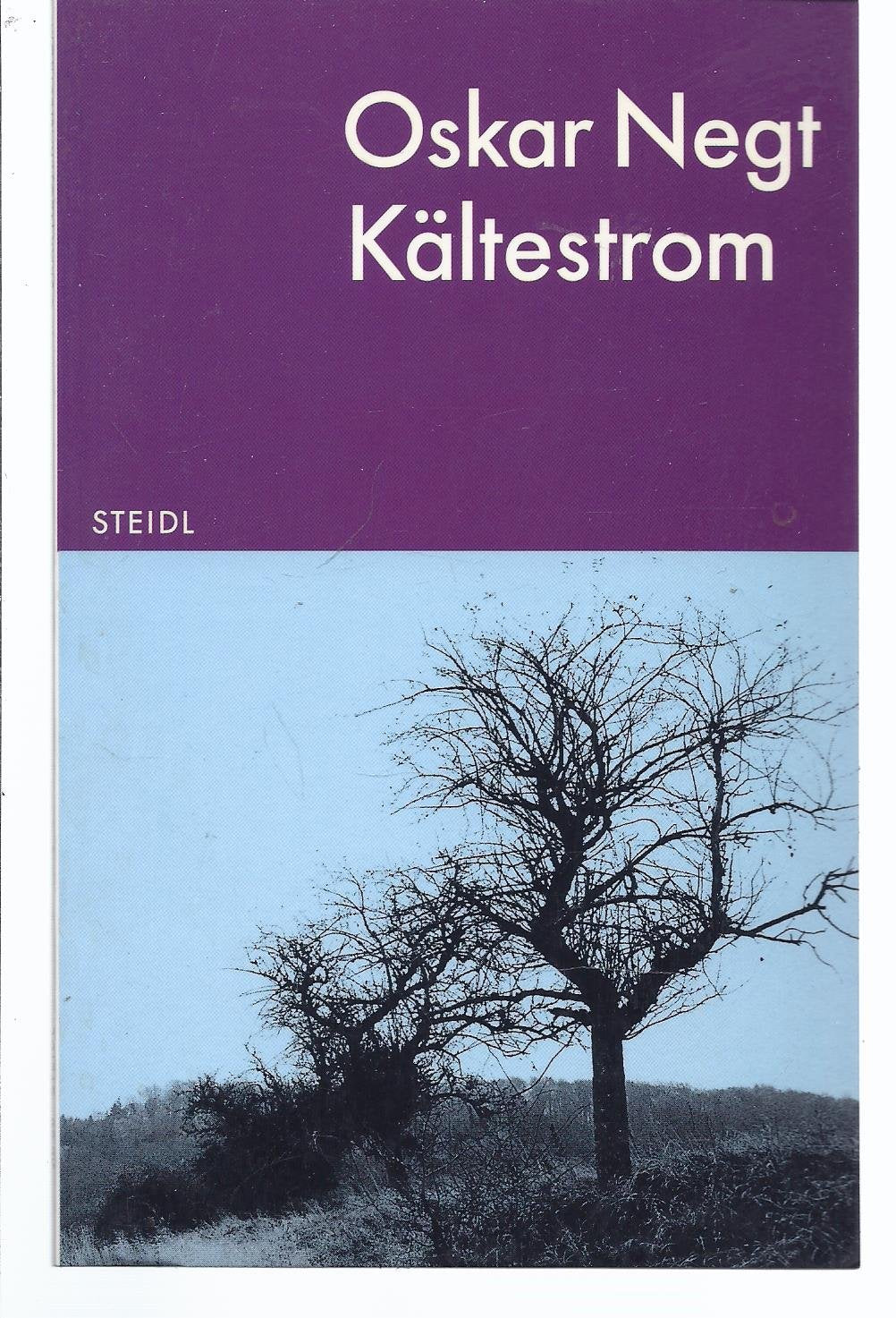 Kältestrom (Steidl Taschenbücher) Books