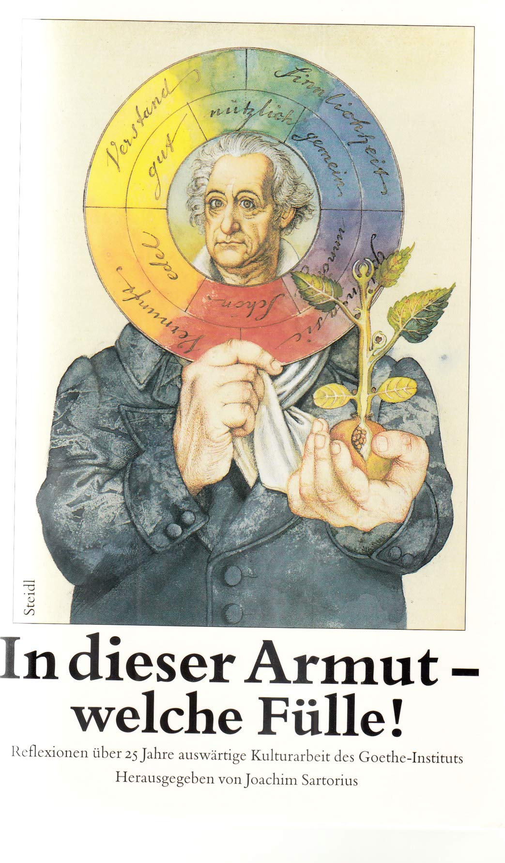 In dieser Armut - welche Fülle!: Reflexionen über 25 Jahre auswärtige Kulturarbeit des Goethe-Instituts Professional & Reference Books