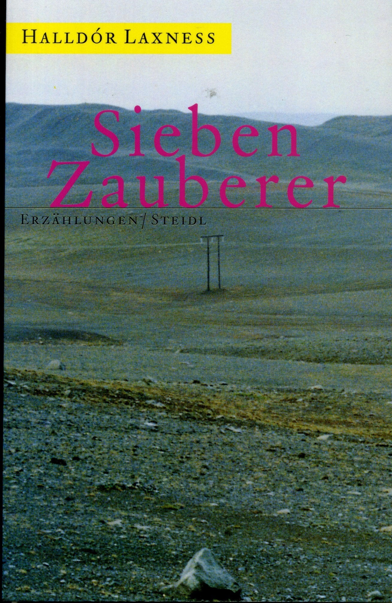 Steidl Taschenbücher, Nr.89, Sieben Zauberer Contemporary literature