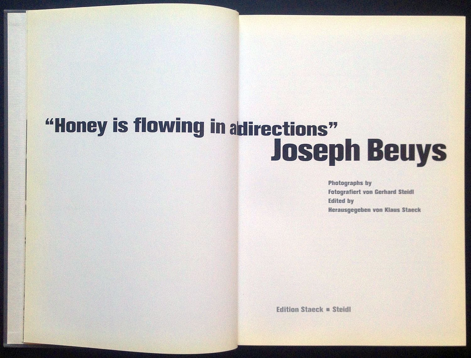 Honey is flowing in all directions: Einl. Dtsch.-Engl. Photography