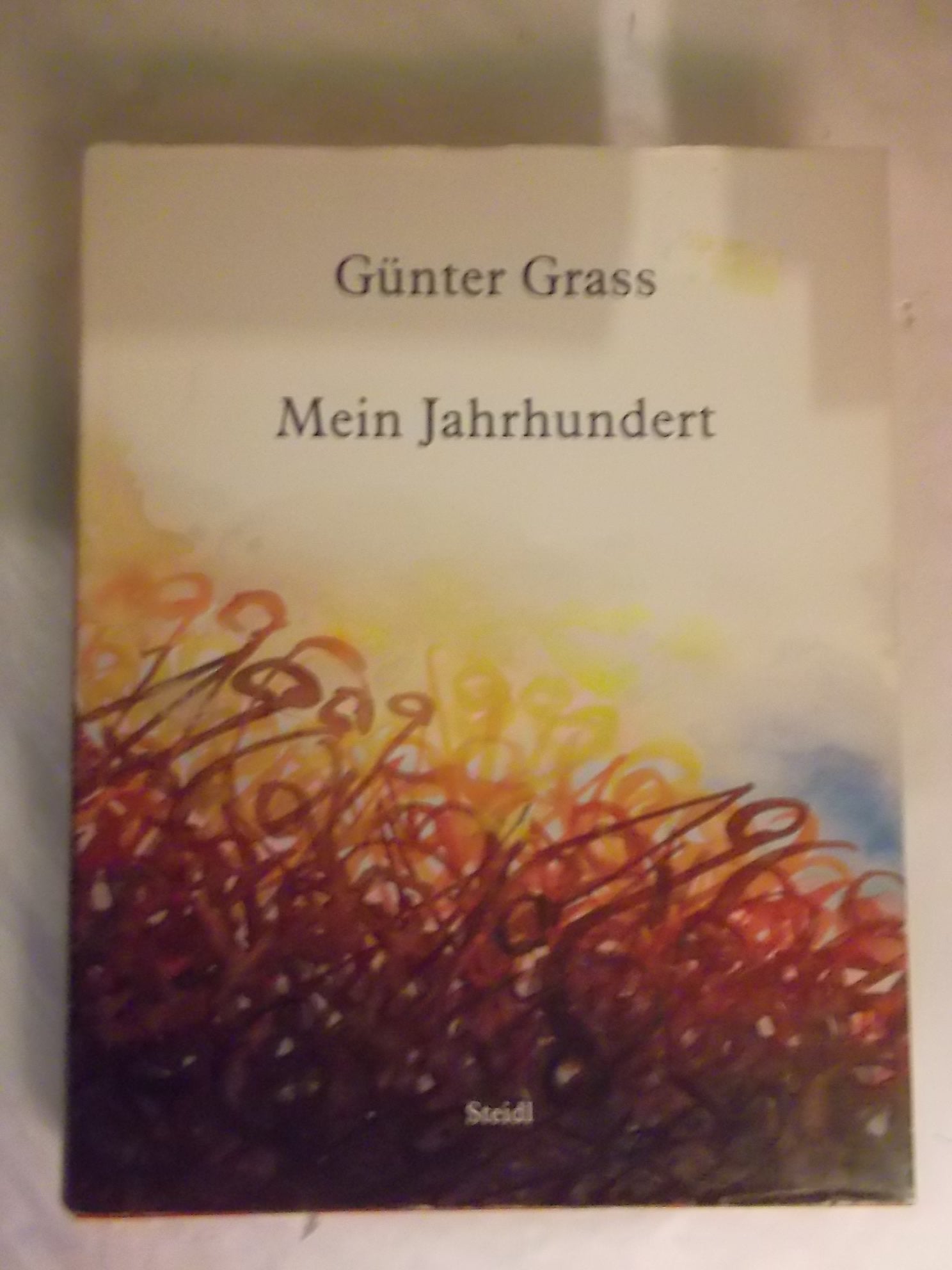 Mein Jahrhundert. Illustrierte Ausgabe.: Ausgabe mit Aquarellen Contemporary literature