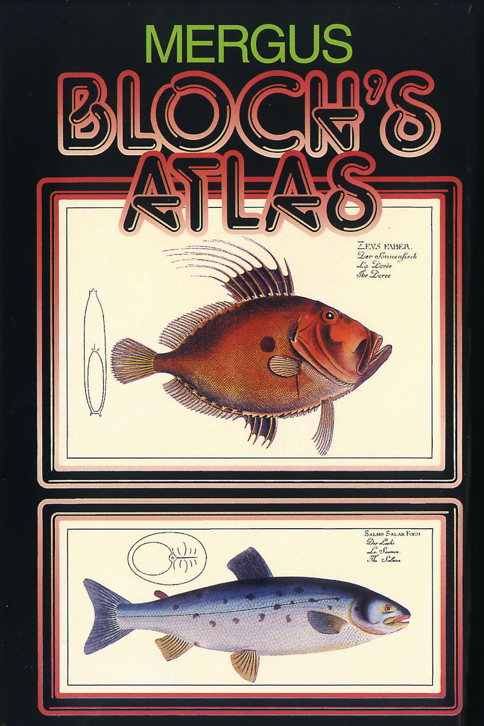 Blochs Atlas. Naturgeschichte der Fische Deutschlands und des Auslands: Bloch's Atlas, 3 Bde., Bd.1, Naturgeschichte der Fische Deutschlands 1782-1784 Leisure, Home & Garden