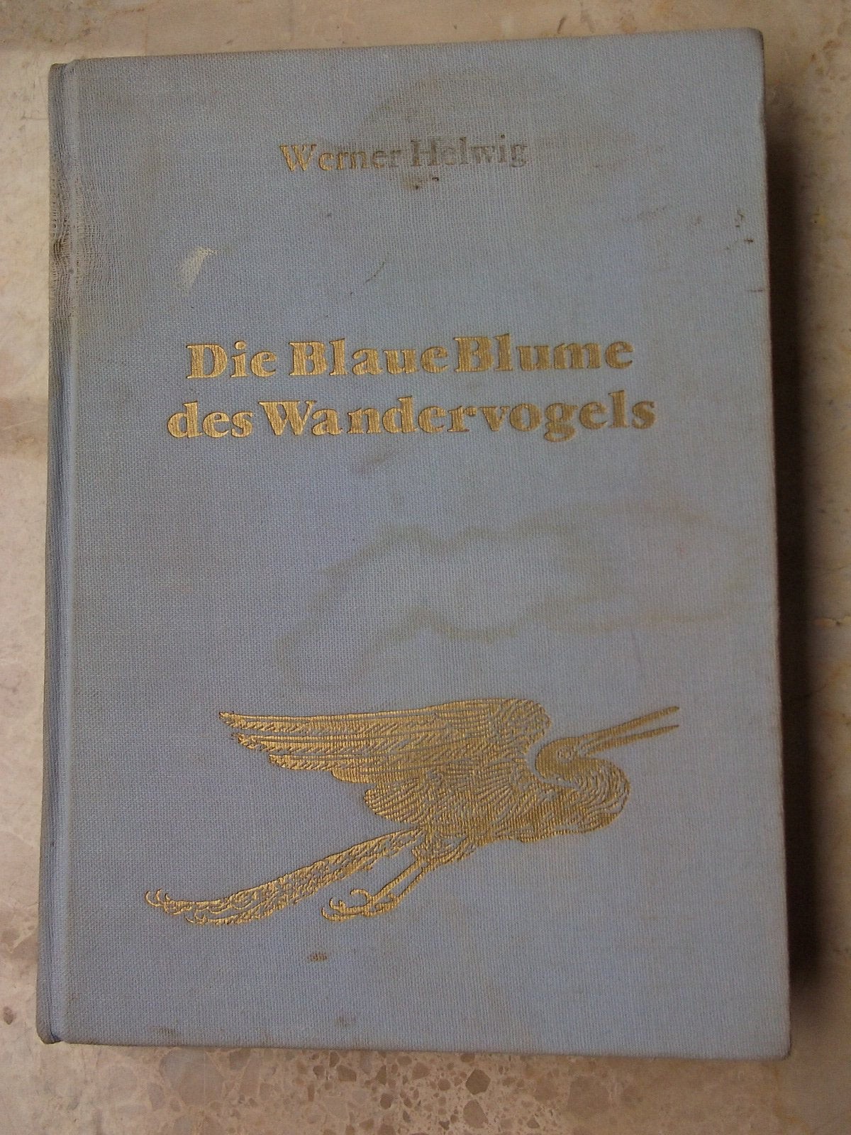 Die Blaue Blume des Wandervogels - Vom Aufstieg, Glanz und Sinn einer Jugendbewegung Politics & History