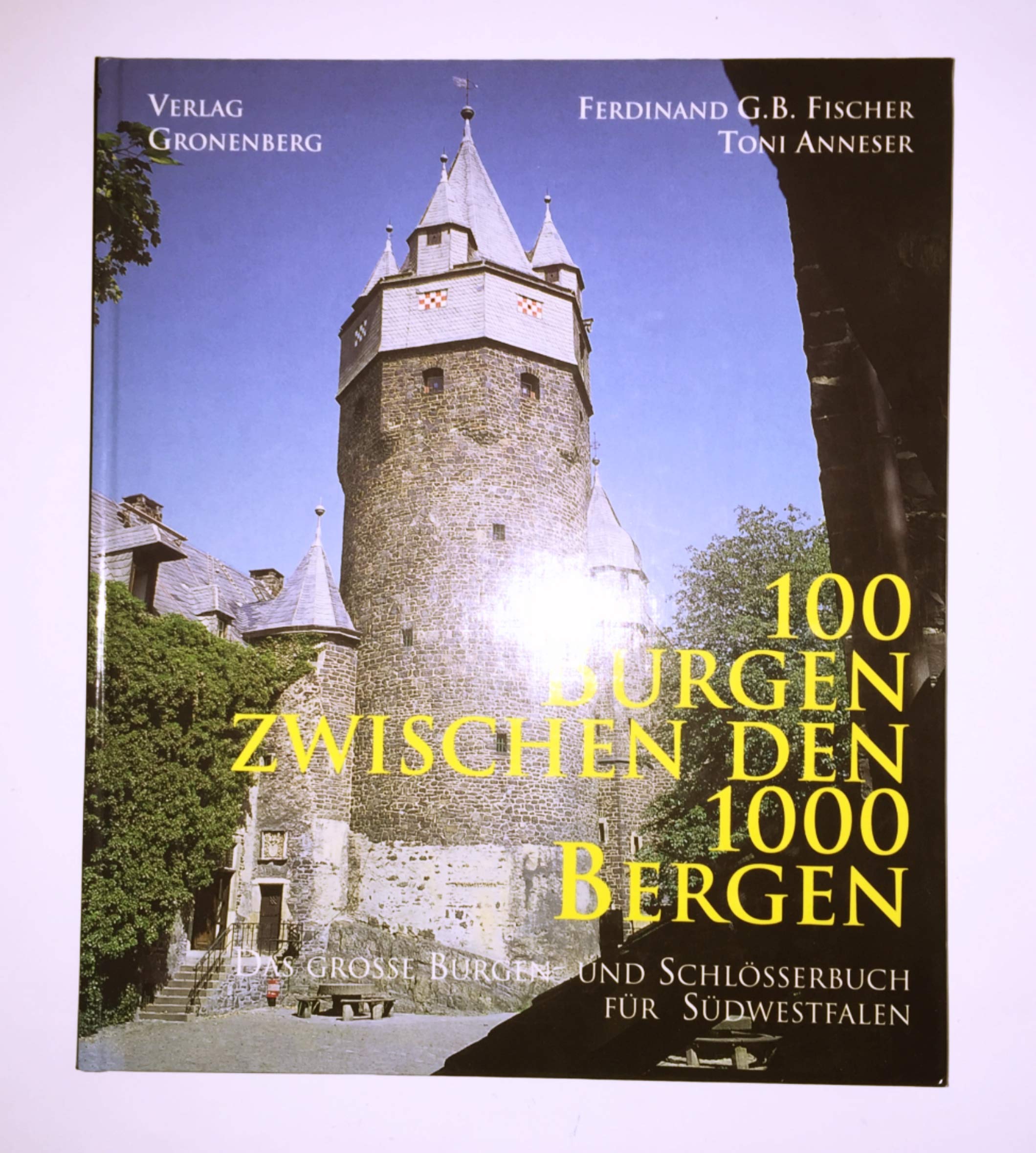100 Burgen zwischen den 1000 Bergen. Das grosse Burgen- und Schlösserbuch für Südwestfalen Architecture
