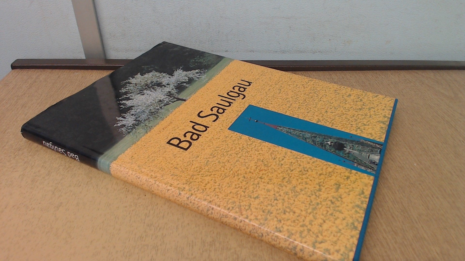 Saulgau - Ansichten und Perspektiven einer Oberschwäbischen Bäderstadt Books