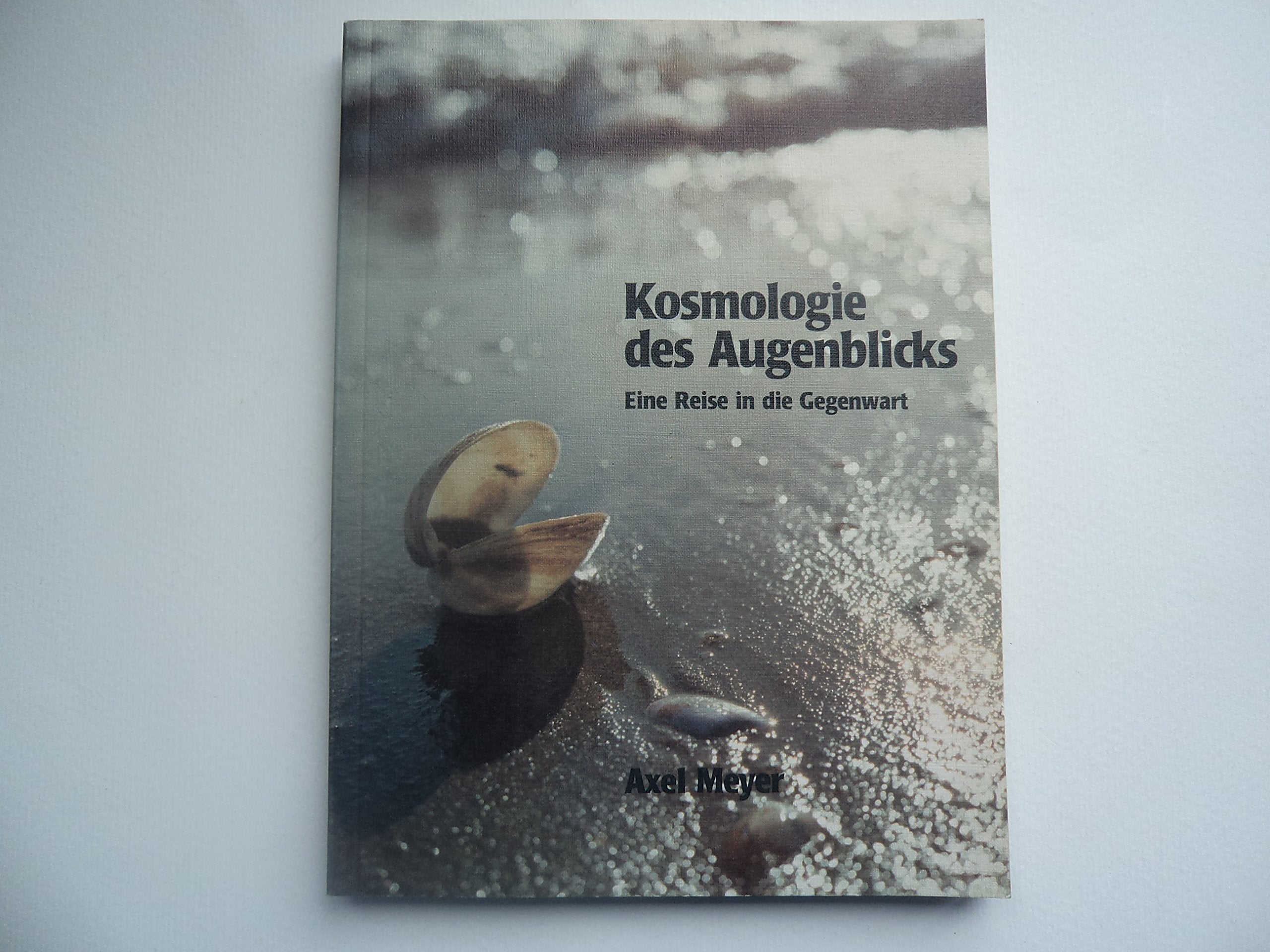 Kosmologie des Augenblicks (5424 194). Eine Reise in die Gegenwart Natural Sciences