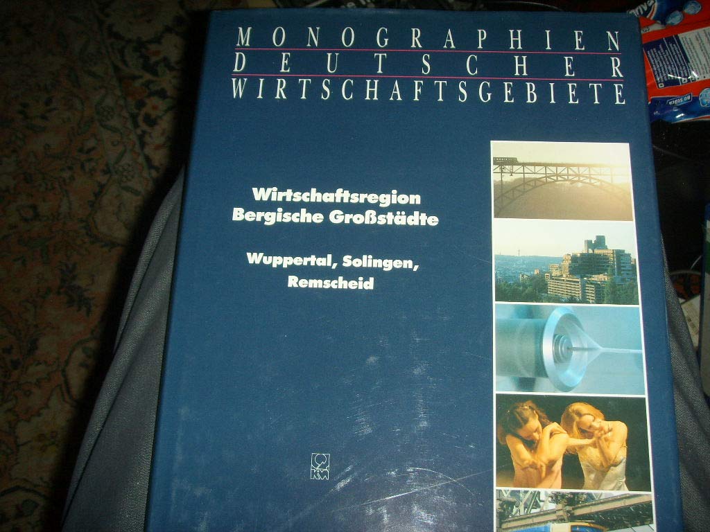 Wirtschaftsregion Bergische Grossstädte Books