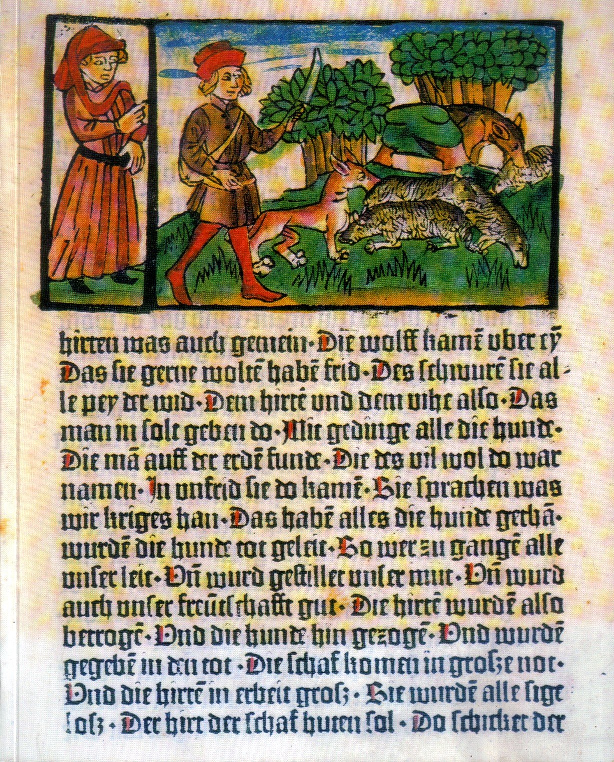 FABULA DOCET: ILLUSTRIERTE FABELBUCHER AUS SECHS JAHRHUNDERTEN (Fabula Docet: Illustrated Fable Books from Six Centuries) Books