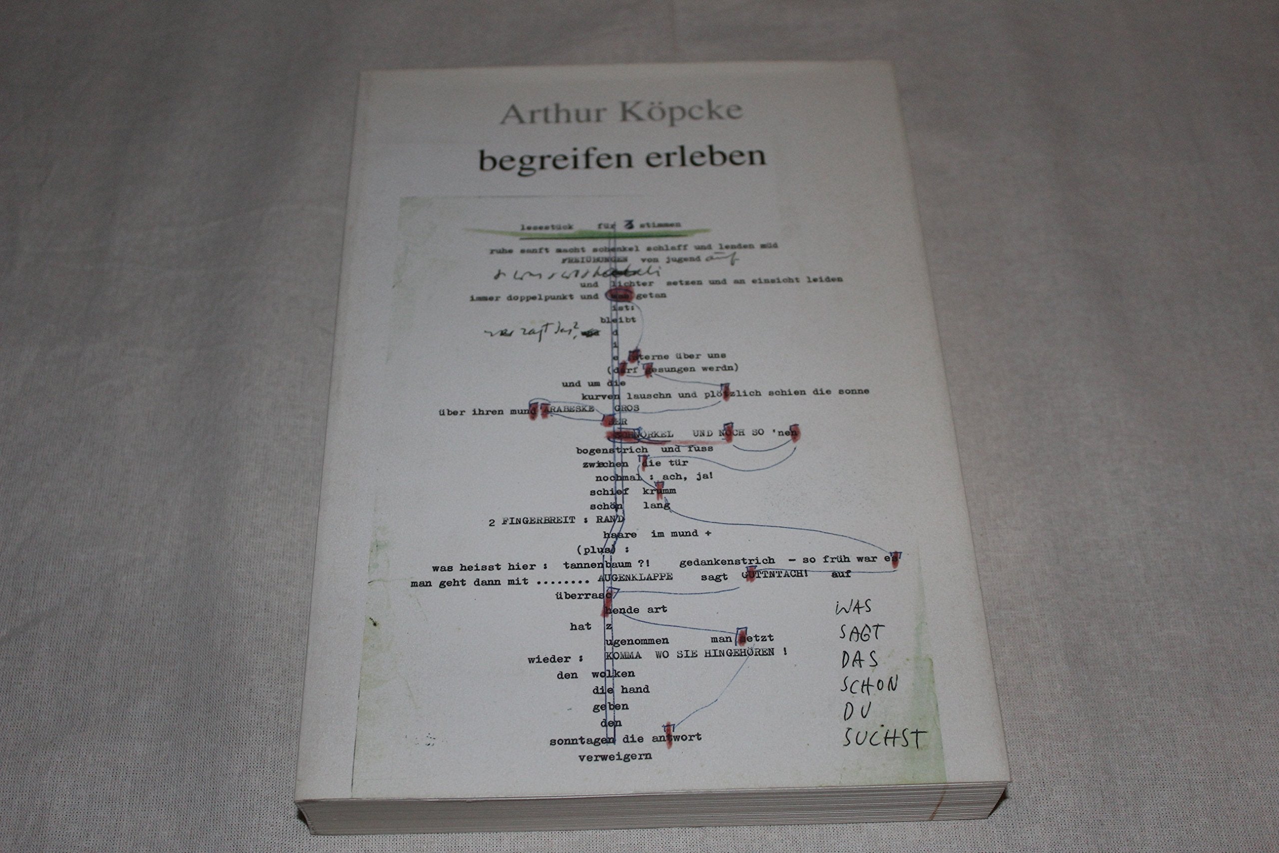 Begreifen erleben: Gesammelte Schriften Books