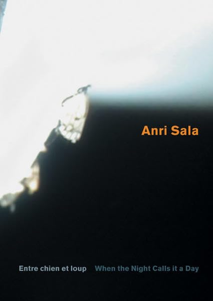 Anri Sala. Entre chien et loup. When the Night Calls it a Day.: Französich /Englisch Film, Art & Culture