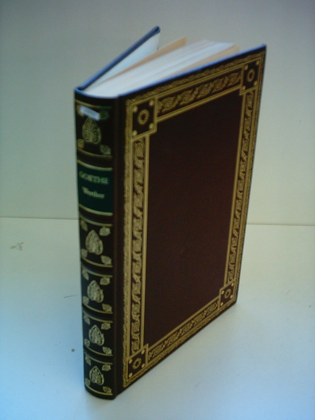 Die Leiden des jungen Werther (Große Erzähler-Bibliothek der Weltliteratur) Books