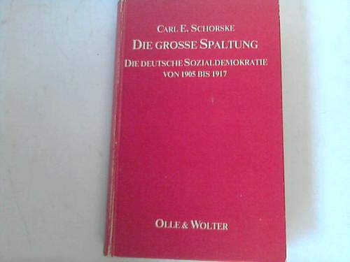 Die große Spaltung. Die deutsche Sozialdemokratie von 1905-1917 Politics & History