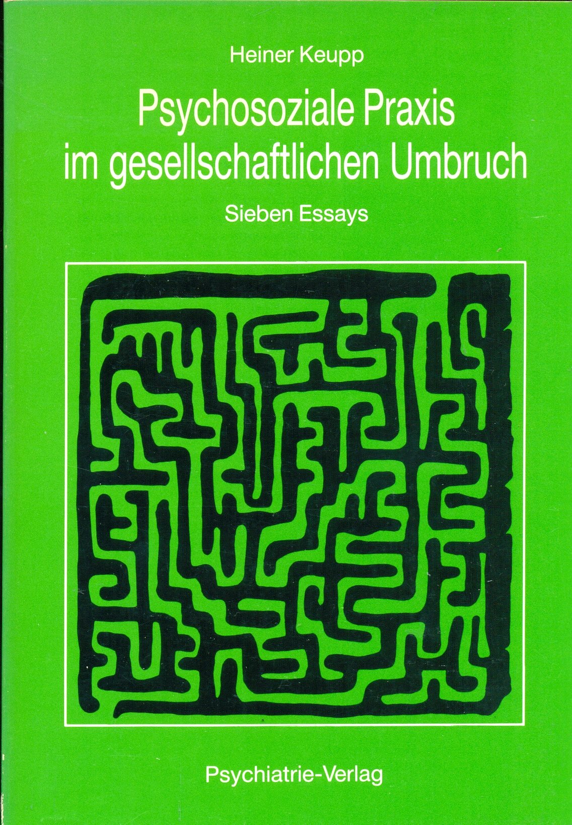 Psychosoziale Praxis im gesellschaftlichen Umbruch. Sieben Essays Books