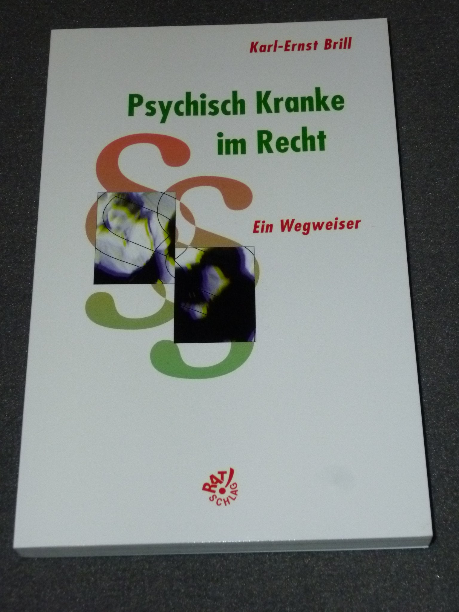 Psychisch Kranke im Recht. Ein Wegweiser Law
