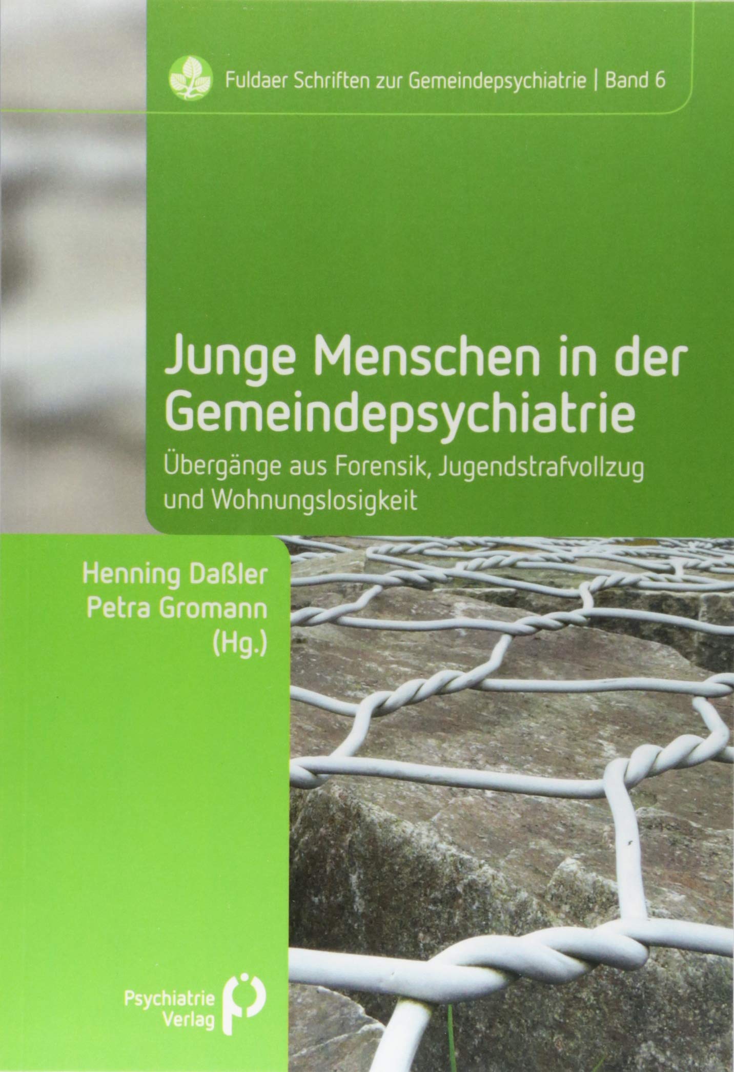 Product Image: Junge Menschen in der Gemeindepsychiatrie