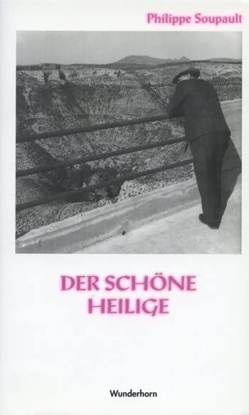 Der schöne Heilige: Roman: Nachw. v. Francois Martinet Contemporary literature