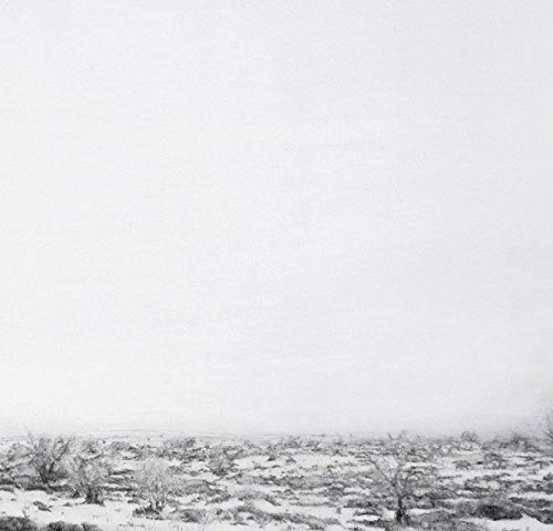 Catalina Pabón: Erstarrte Wirklichkeiten - worlds apart: Erstarrte Wirklichkeiten - worlds apart. Katalog zur Ausstellung in der Kunsthalle Rostock, ... Kaiserlautern und Kunstmuseum Bochum, 2014 Contemporary literature Books