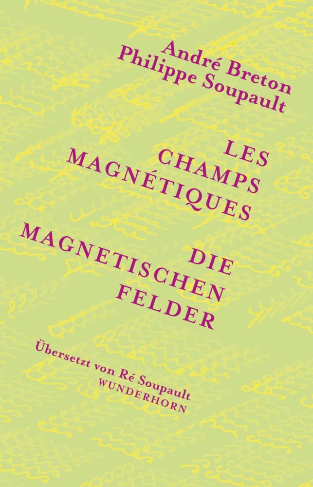 Product Image: Die magnetischen Felder