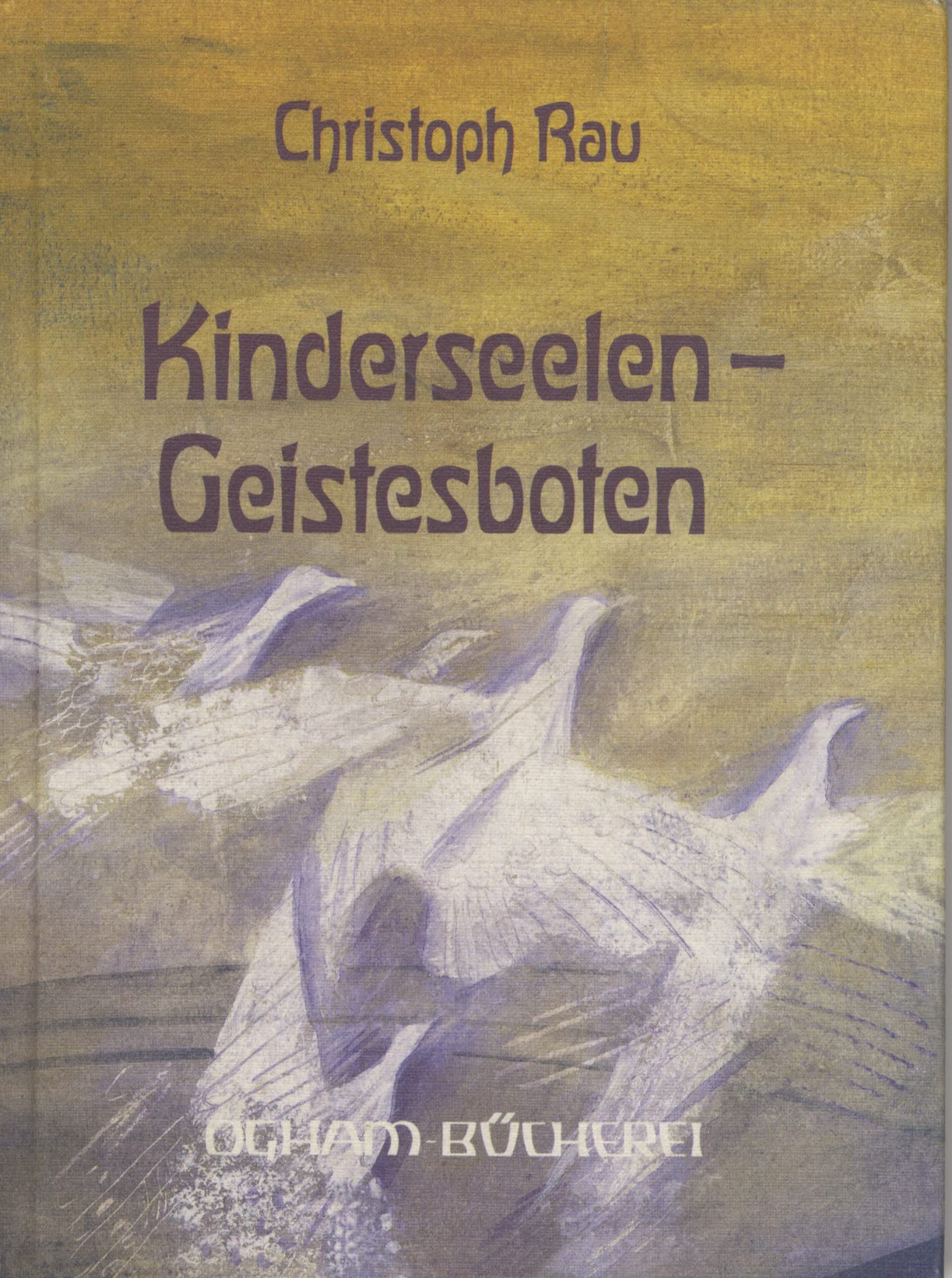 Kinderseelen - Geistesboten. Sinn und Sendung der früh Verstorbenen Death & Mourning