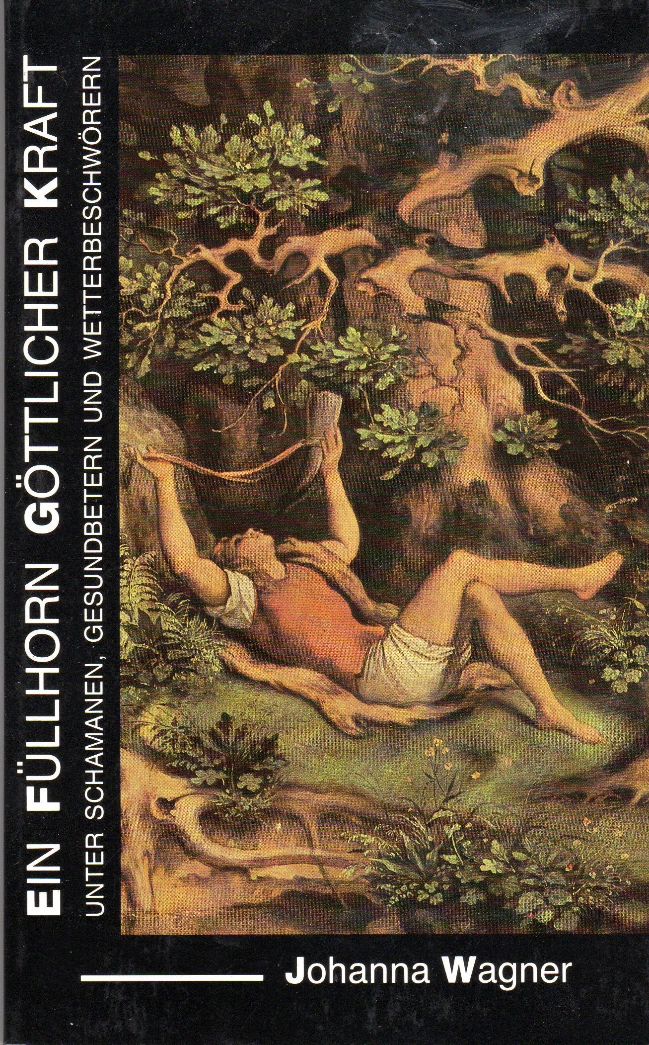 Ein Füllhorn göttlicher Kraft: Unter Schamanen, Gesundbetern und Wetterbeschwörern. Hrsg. v. Wolfgang Bauer u. Clemens Zerling Religion & Esotericism