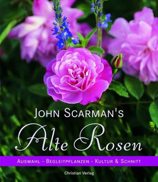 John Scarman's Alte Rosen Garden & Plants