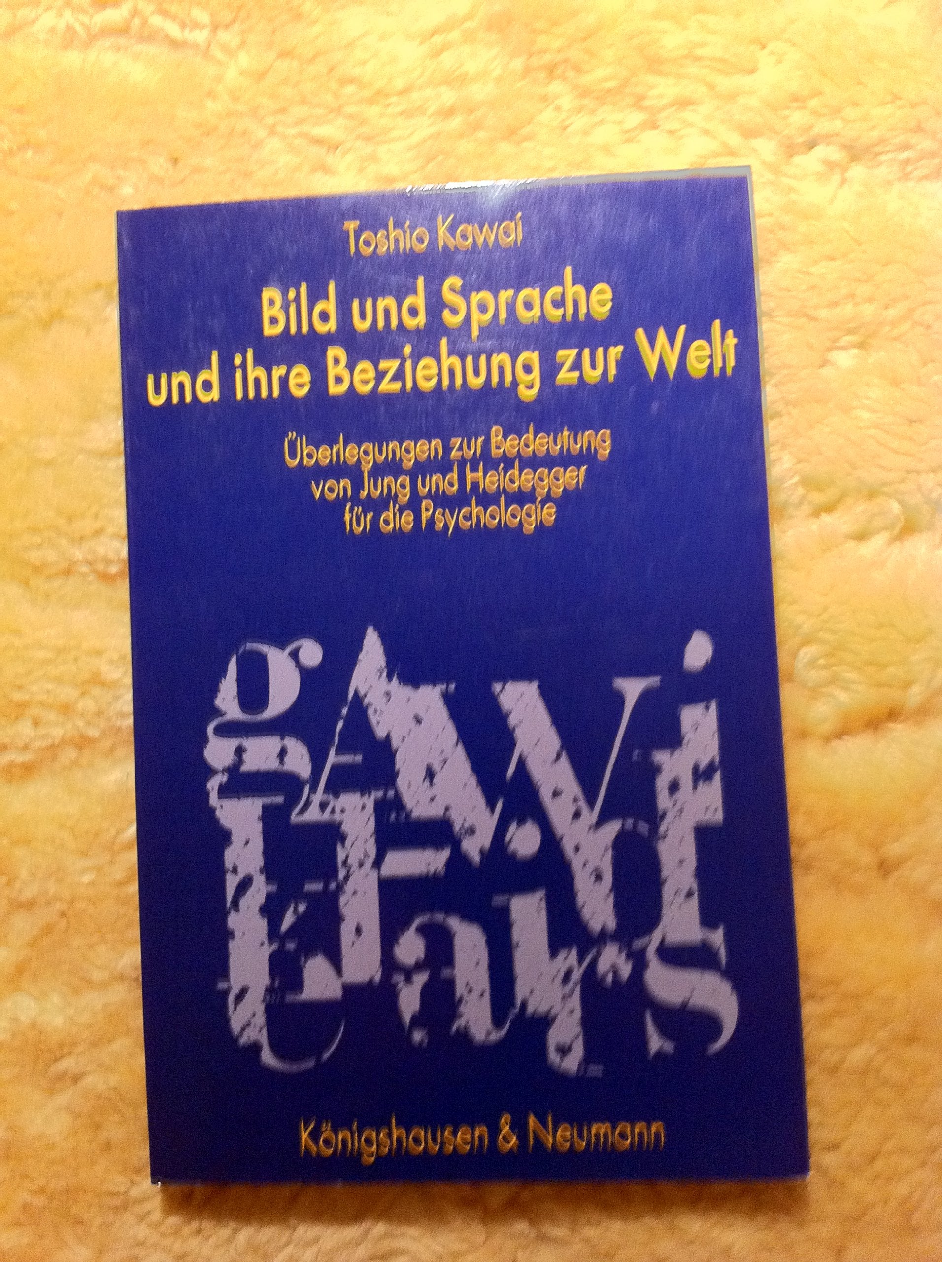 Bild und Sprache und ihre Beziehung zur Welt: Überlegungen zur Bedeutung von Jung und Heidegger für die Psychologie (Unipress / Reihe Philosophie) Books