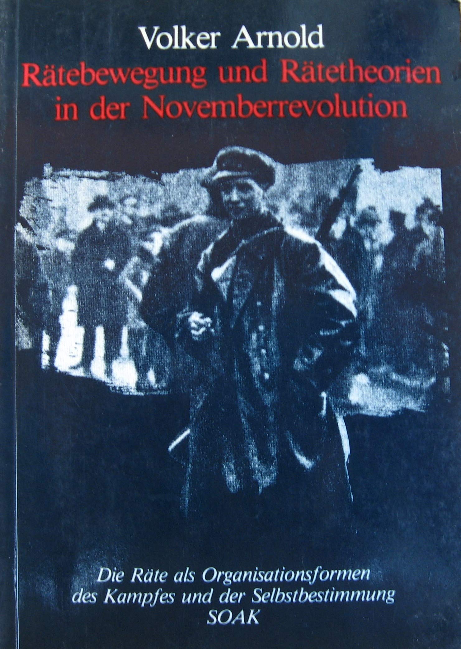 Rätebewegung und Rätetheorien in der Novemberrevolution: Räte als Organisisationsformen des Kampfes und der Selbstbestimmung Books