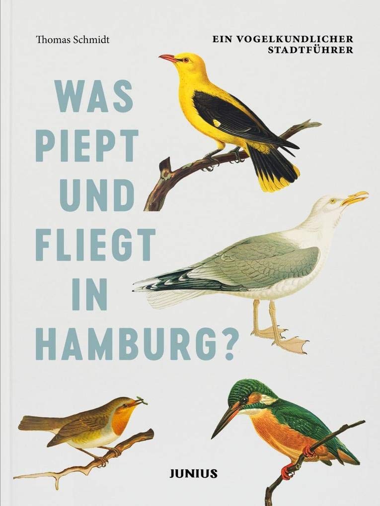 Was piept und fliegt in Hamburg? Leisure, Home & Garden