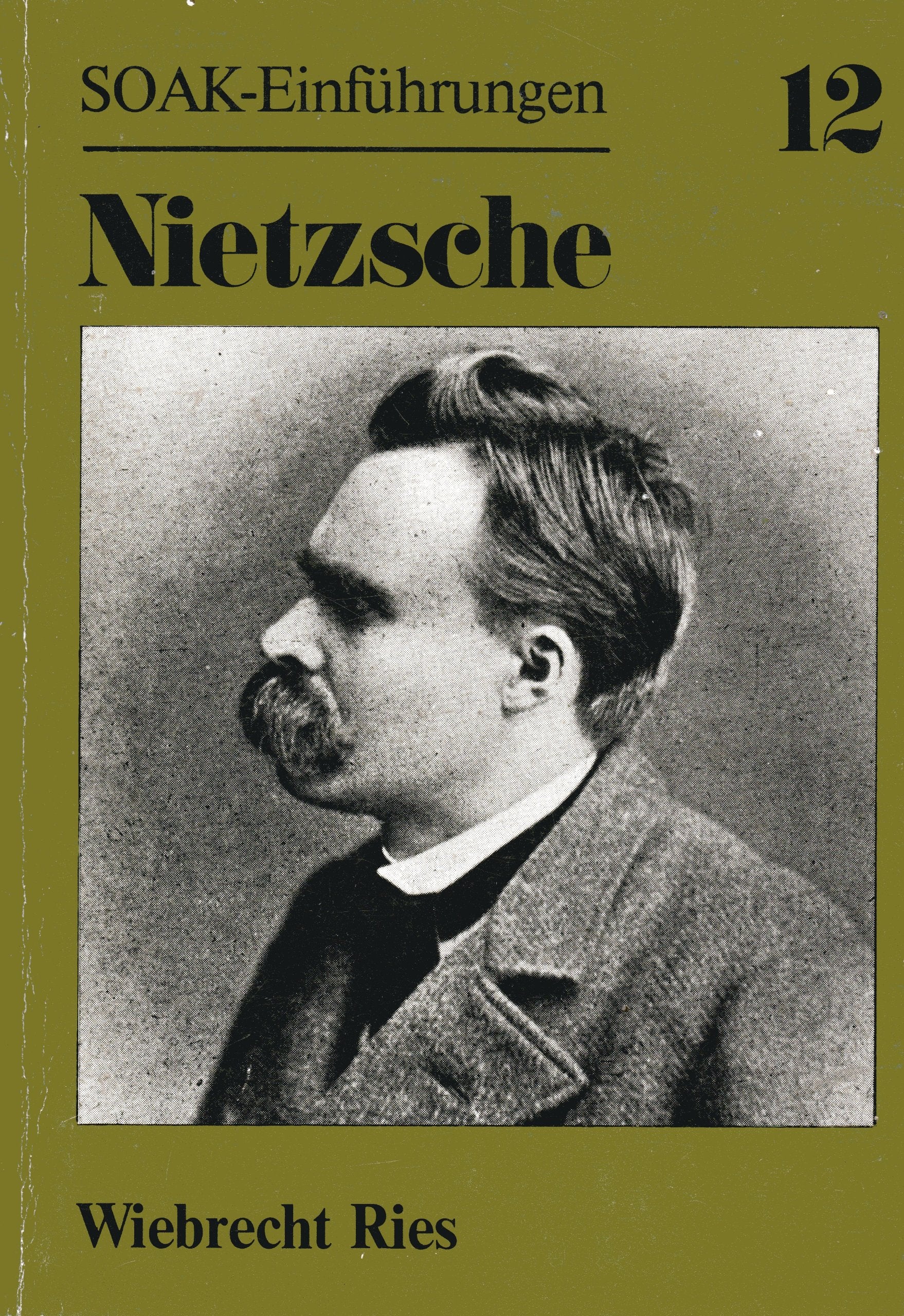 Nietzsche zur Einführung University books