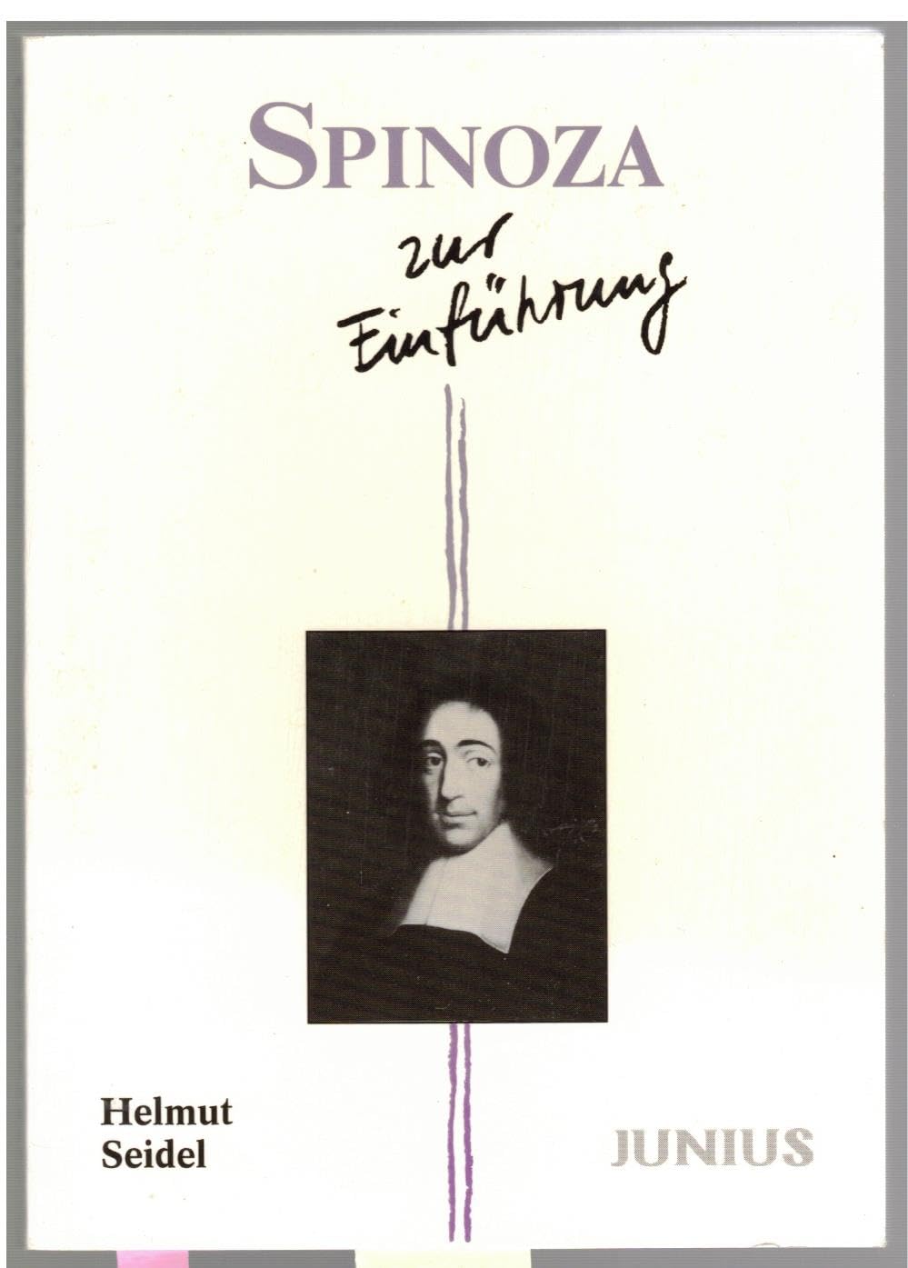 Spinoza zur Einführung Professional & Reference Books