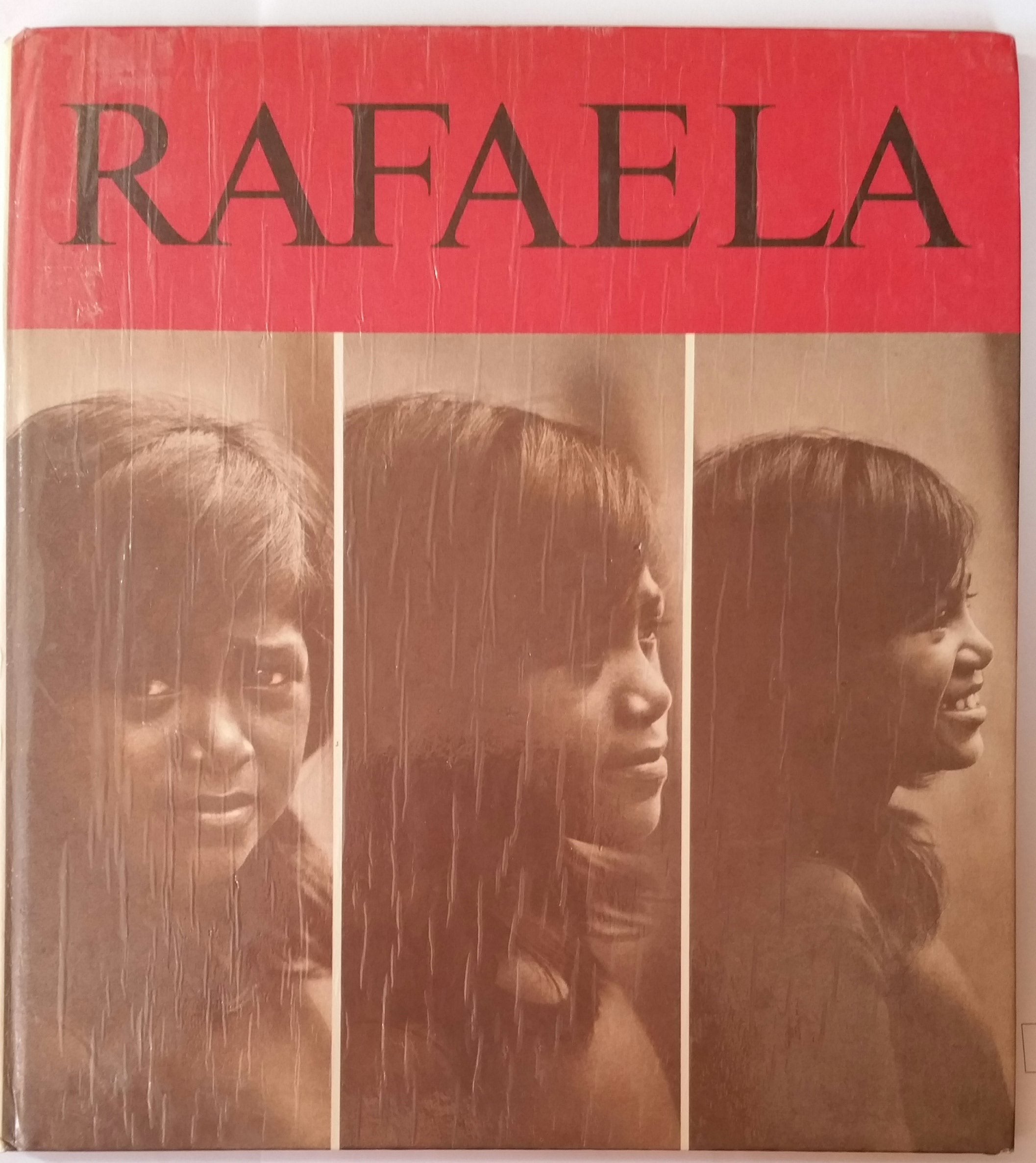 Der Ritt zum Momotombo. Der Ritt zum Momotombo. Die Geschichte von Rafaela aus Nicaragua Books