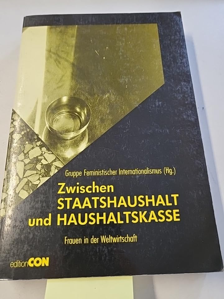 Zwischen Staatshaushalt und Haushaltskasse. Frauen in der Weltwirtschaft Books