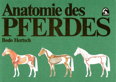 Anatomie des Pferdes Medicine