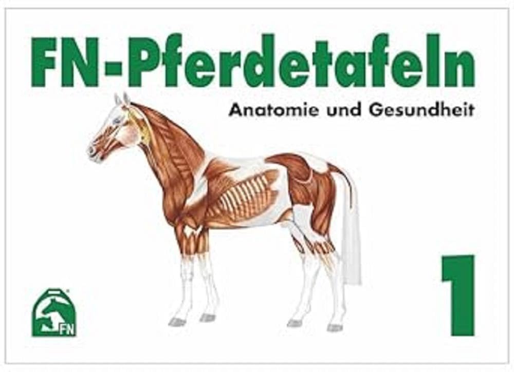 FN-Pferdetafeln Set / FN-Pferdetafeln Set 1: Anatomie und Gesundheit: Enthält Tafel 1 - 13: Fuer Pferde giftige Pflanzen - Lage erkennbarer ... Die Hufe - Der Kreislauf - Die Atmungsorgane Medicine