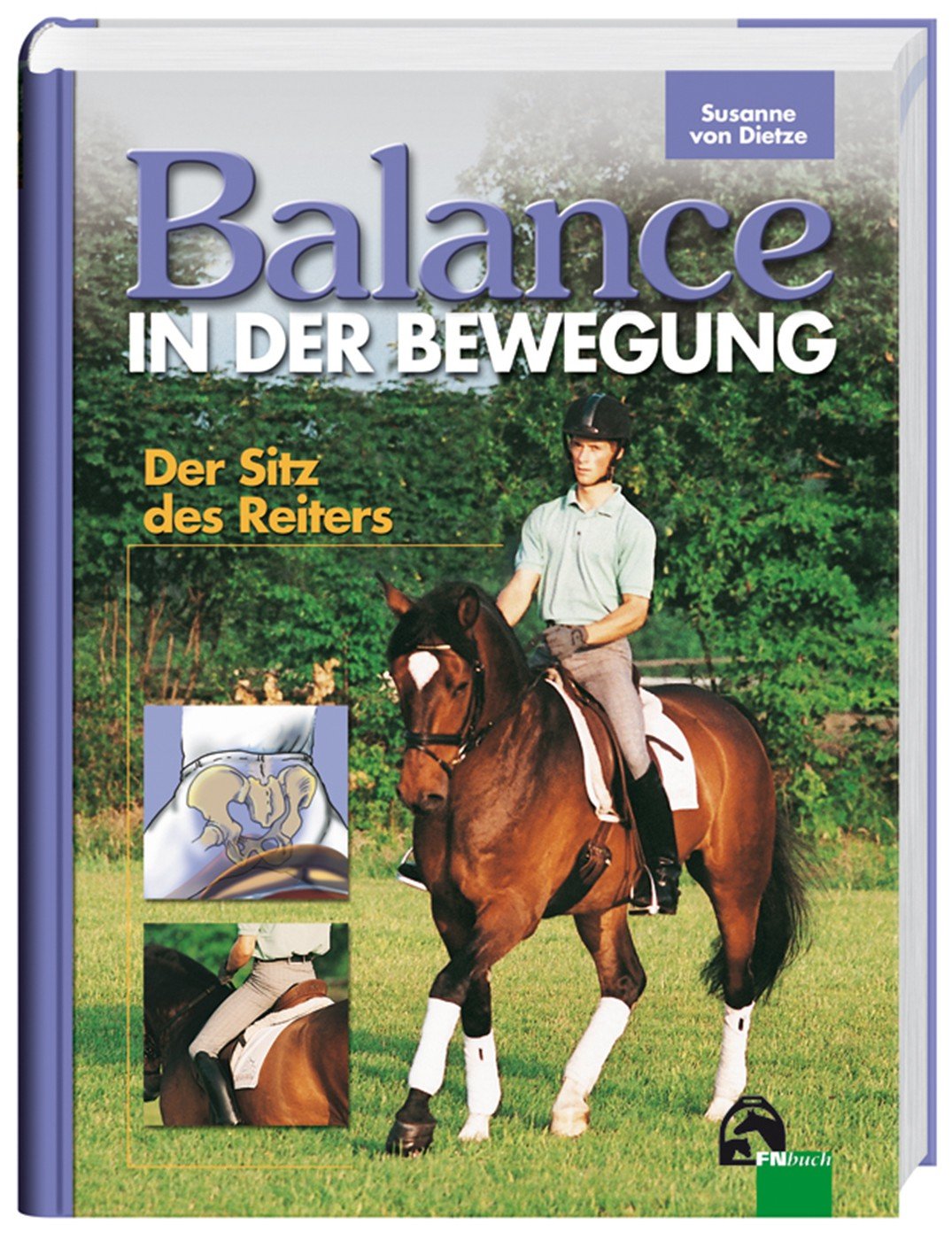 Balance in der Bewegung. Der Sitz des Reiters Medicine