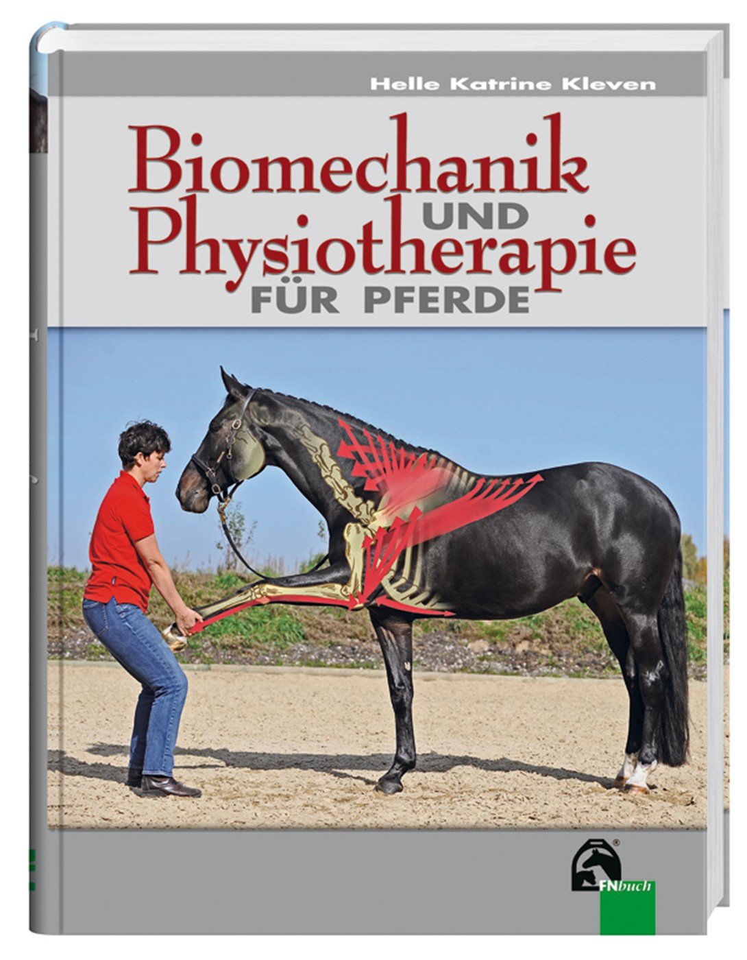 Biomechanik und Physiotherapie für Pferde Medicine