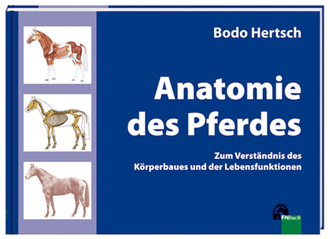 Product Image: Anatomie des Pferdes