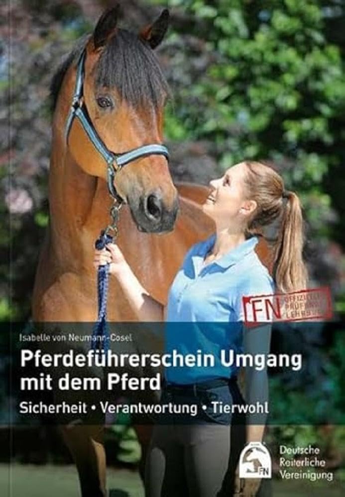 Pferdeführerschein Umgang mit dem Pferd Pets