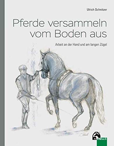 Pferde versammeln vom Boden aus Pets