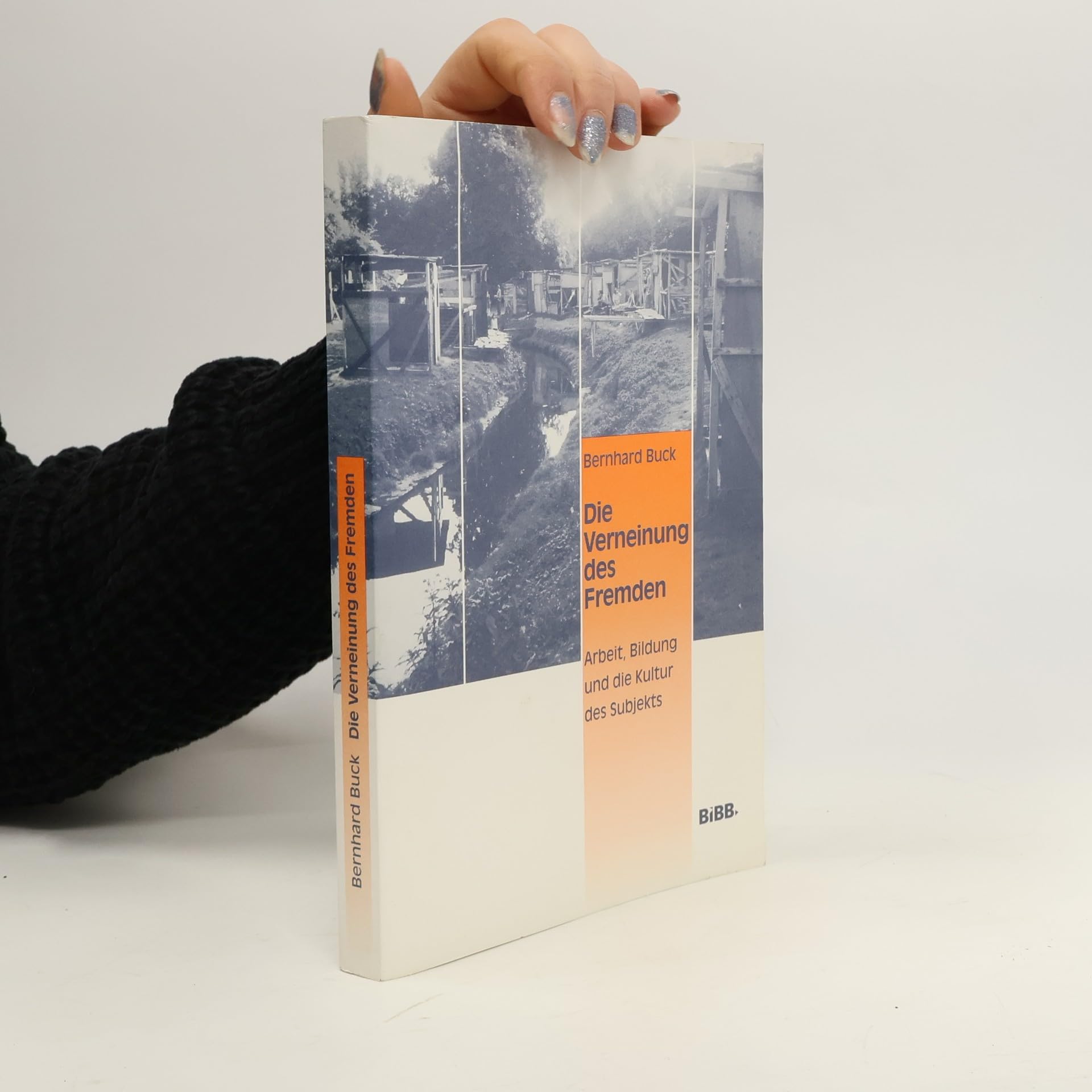 Die Verneinung des Fremden: Arbeit, Bildung und die Kultur des Subjekts Social Sciences