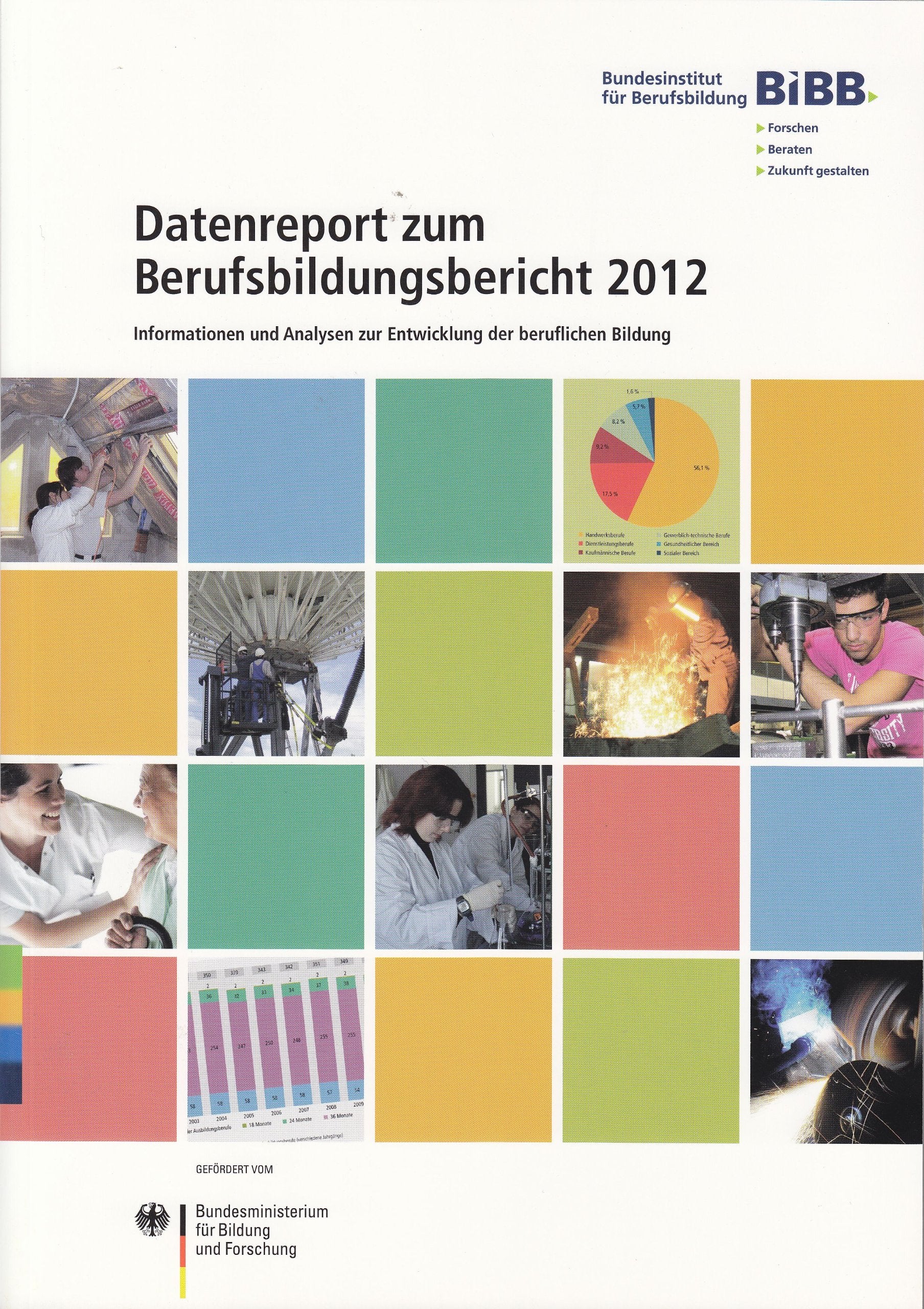 Datenreport zum Berufsbildungsbericht 2012 Books