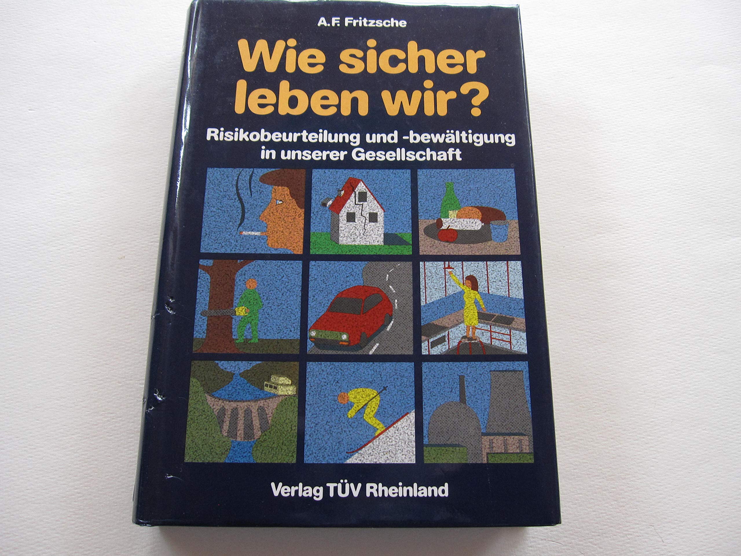 Wie sicher leben wir?: Risikobeurteilung und Risikobewältigung in unserer Gesellschaft Law