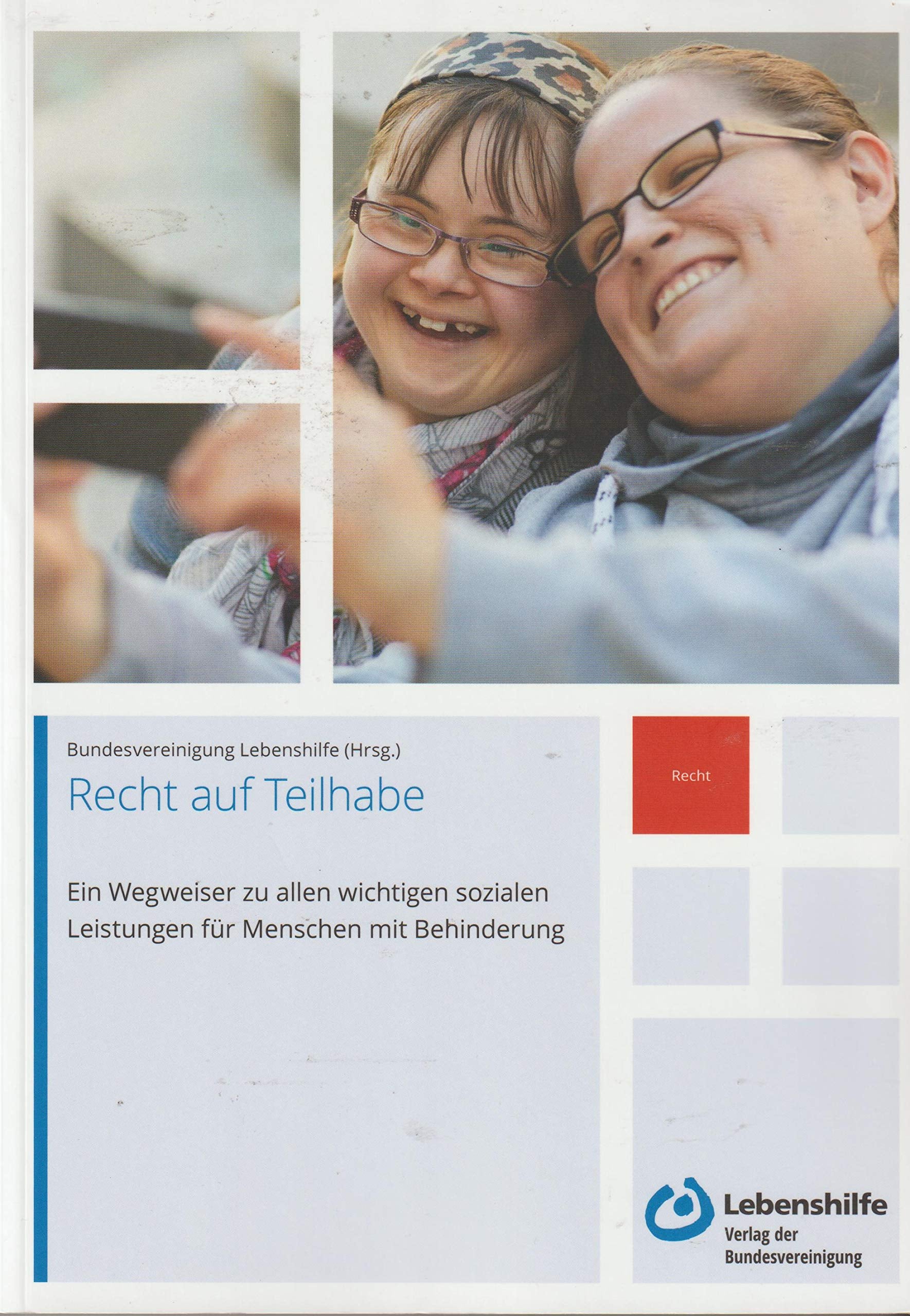Recht auf Teilhabe: Ein Wegweiser zu allen wichtigen sozialen Leistungen für Menschen mit Behinderung Books