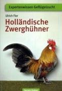 Holländische Zwerghühner: Expertenwissen Geflügelzucht Pets