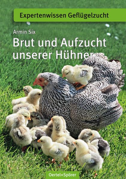 Brut und Aufzucht unserer Hühner Pets