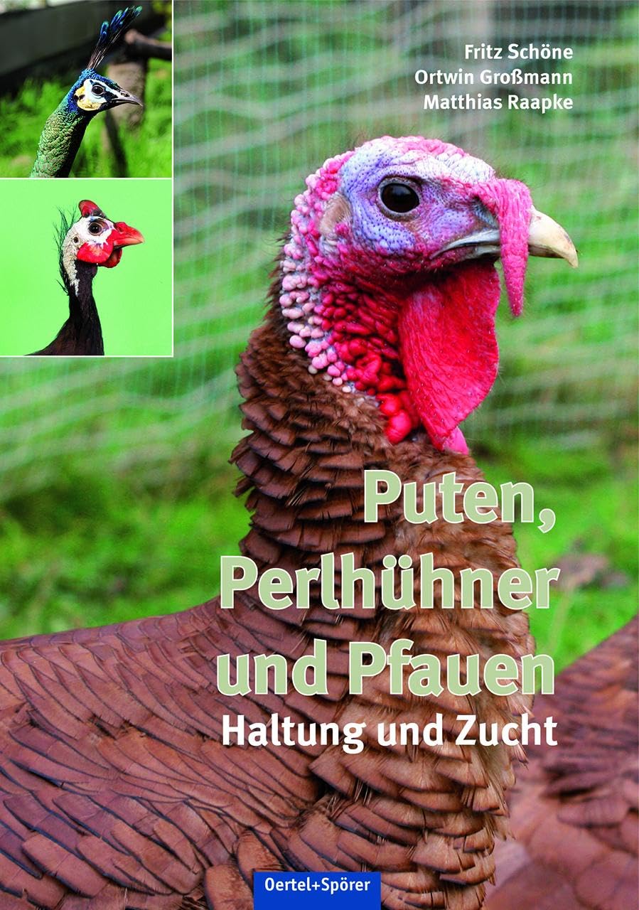 Product Image: Puten, Perlhühner und Pfauen