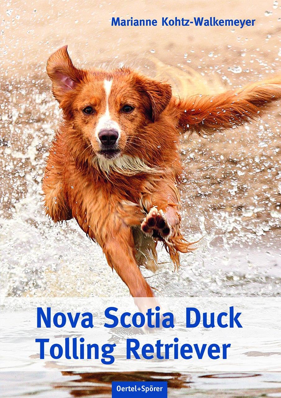 Nova Scotia Duck Tolling Retriever Pets